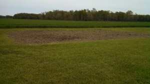 And by the end of April, we are getting ready to plant our own little garden. We're also "rearranging" the landscaping and the driveway. Lots of work to do! I spent most of the weekend washing windows.